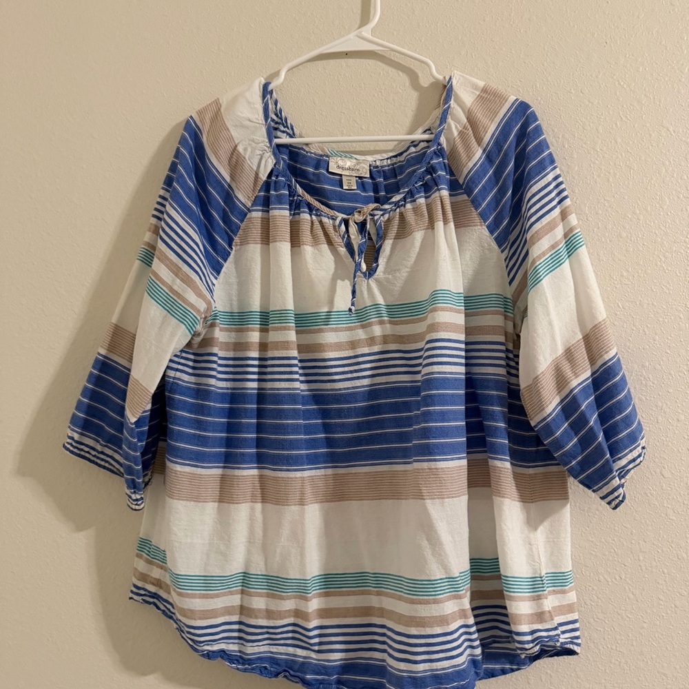 dressbarn Blue and Brown Striped Blouse